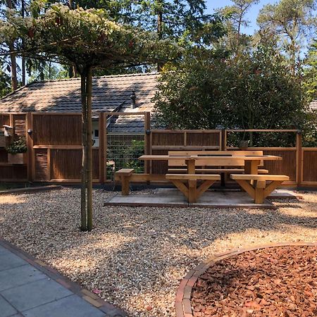 Veluwe Vakantiehuis - Bosuil Lodge Lunteren Eksteriør billede