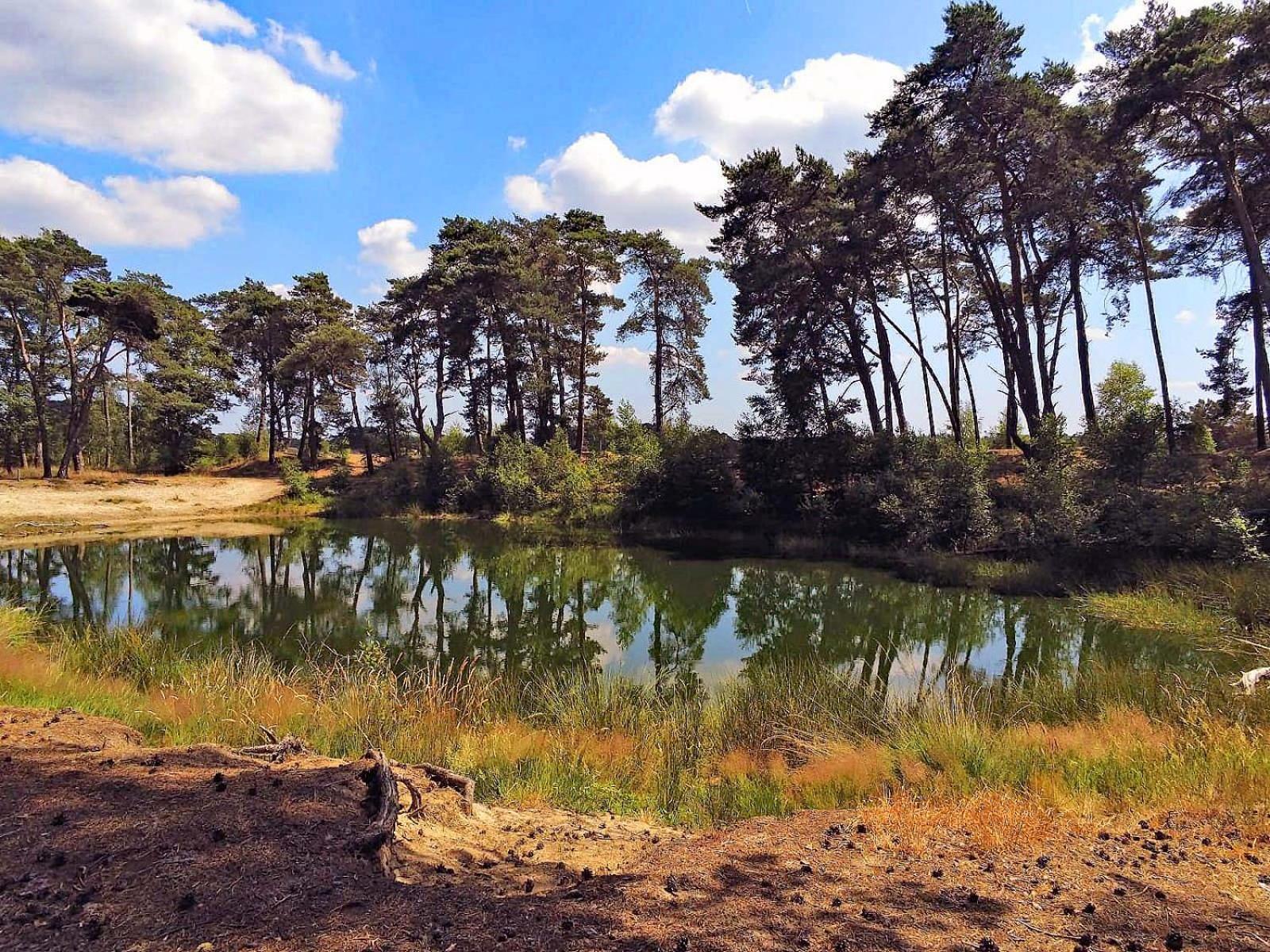 Veluwe Vakantiehuis - Bosuil Lodge Lunteren Eksteriør billede